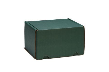 Temporary Cremains Container Corrugated Green
