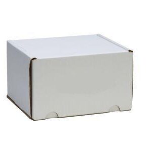 Temporary Cremains Container – Corrugated White